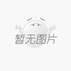 朰ݔ͙C(j)D(zhun)ǌݔеĺđ(yng)